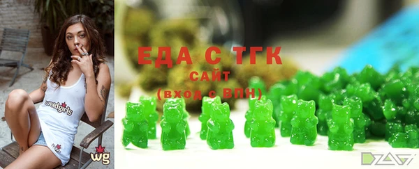 гидра Верхний Тагил