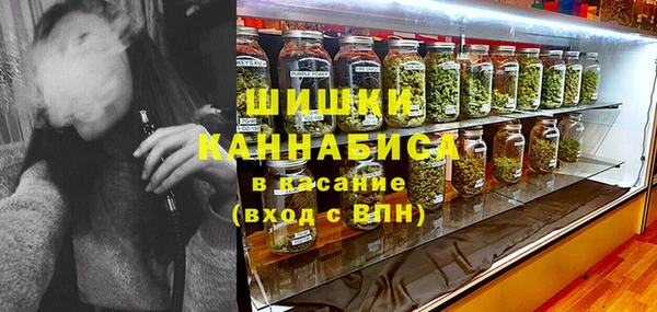 мет Бородино