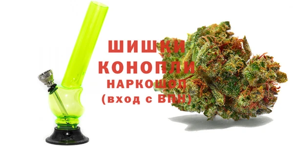 гидра Верхний Тагил